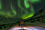 Northern Lights near the Dempster Highway in the Tombstone Territorial Park and Peel Watershed during winter