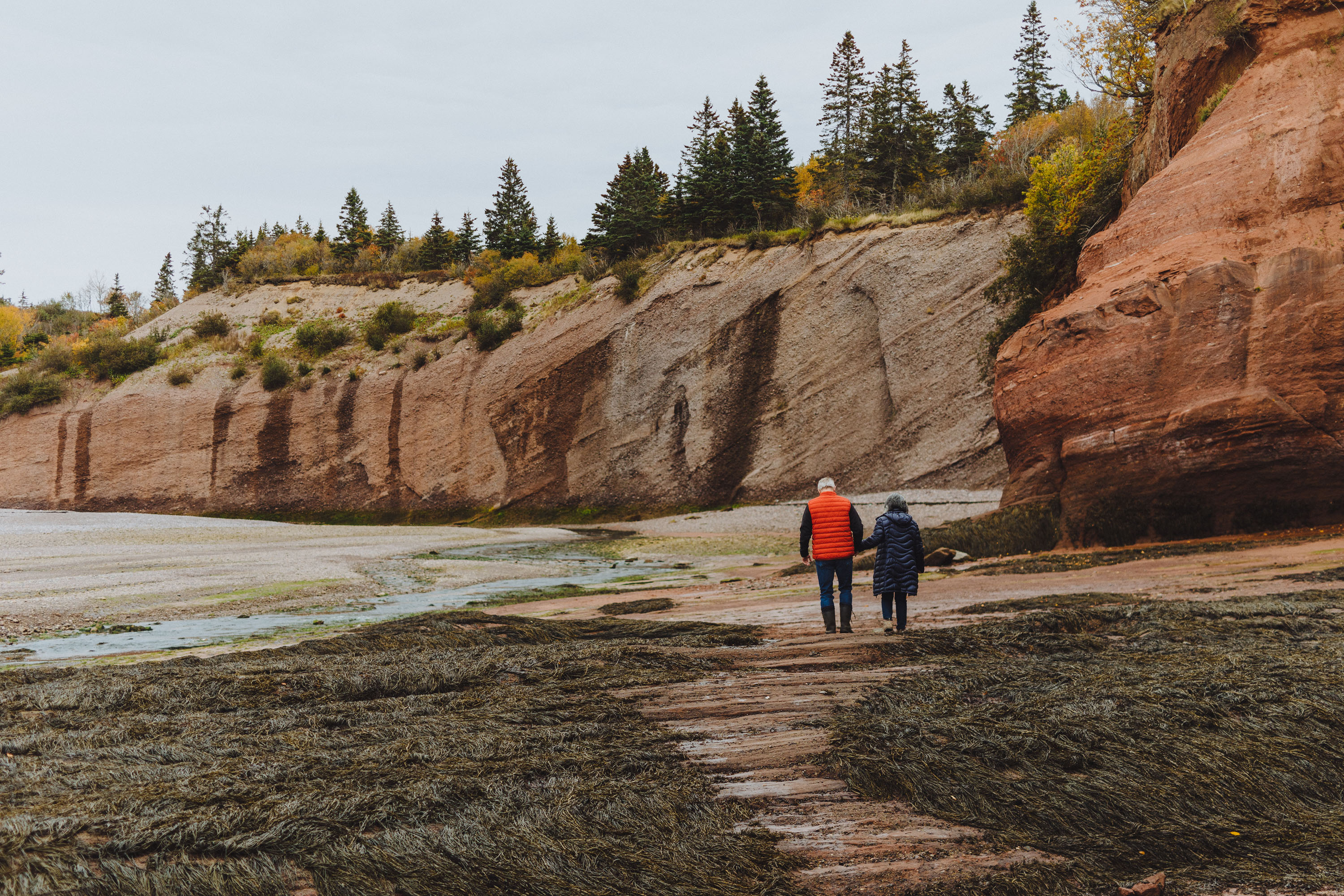 Sandstone Caves in Fundy National Park