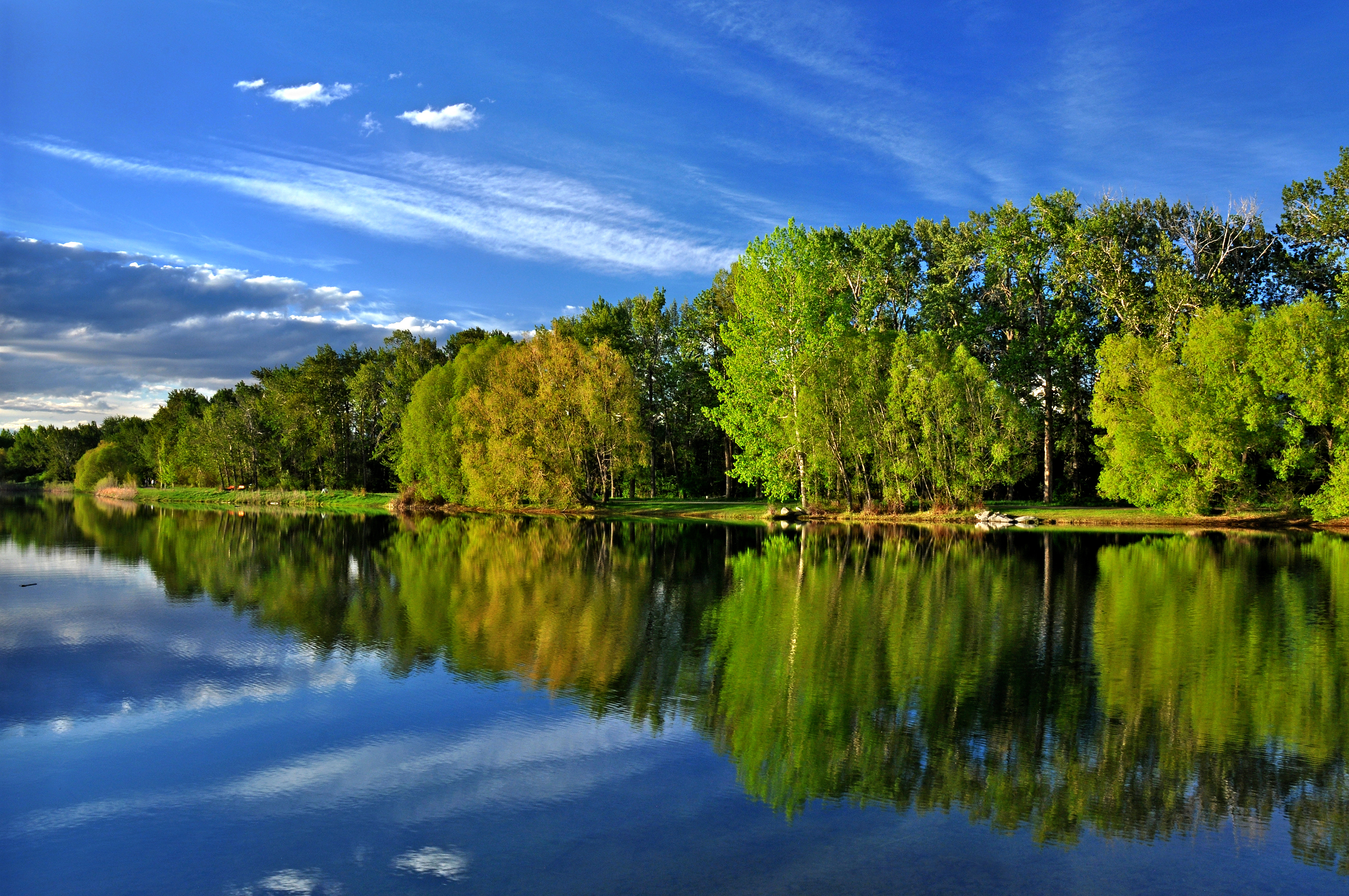 Blue sky and green trees next to a lake