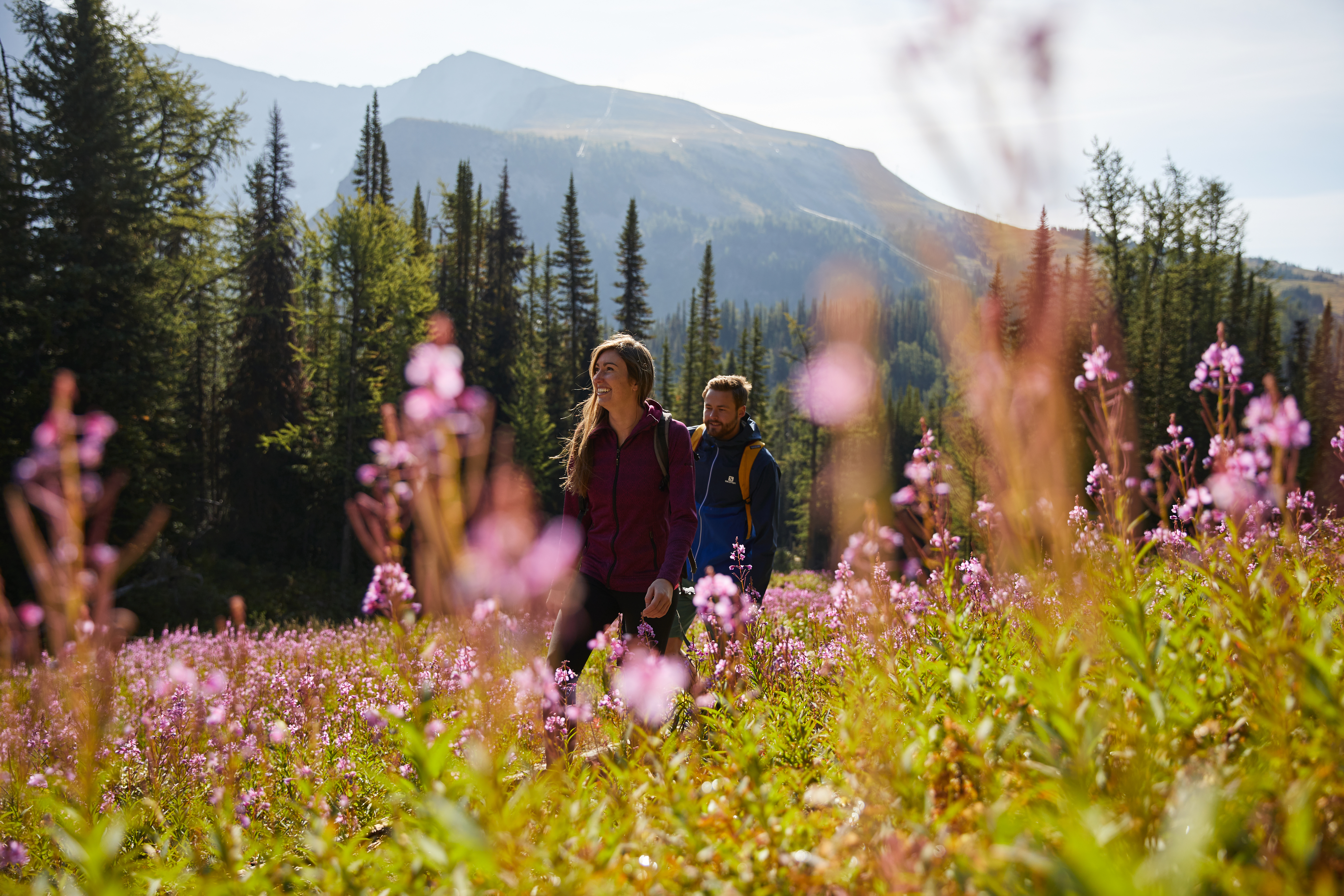 People hiking in Sunshine Meadows in Banff National Park