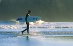 surfer walks on beach carrying surfboard
