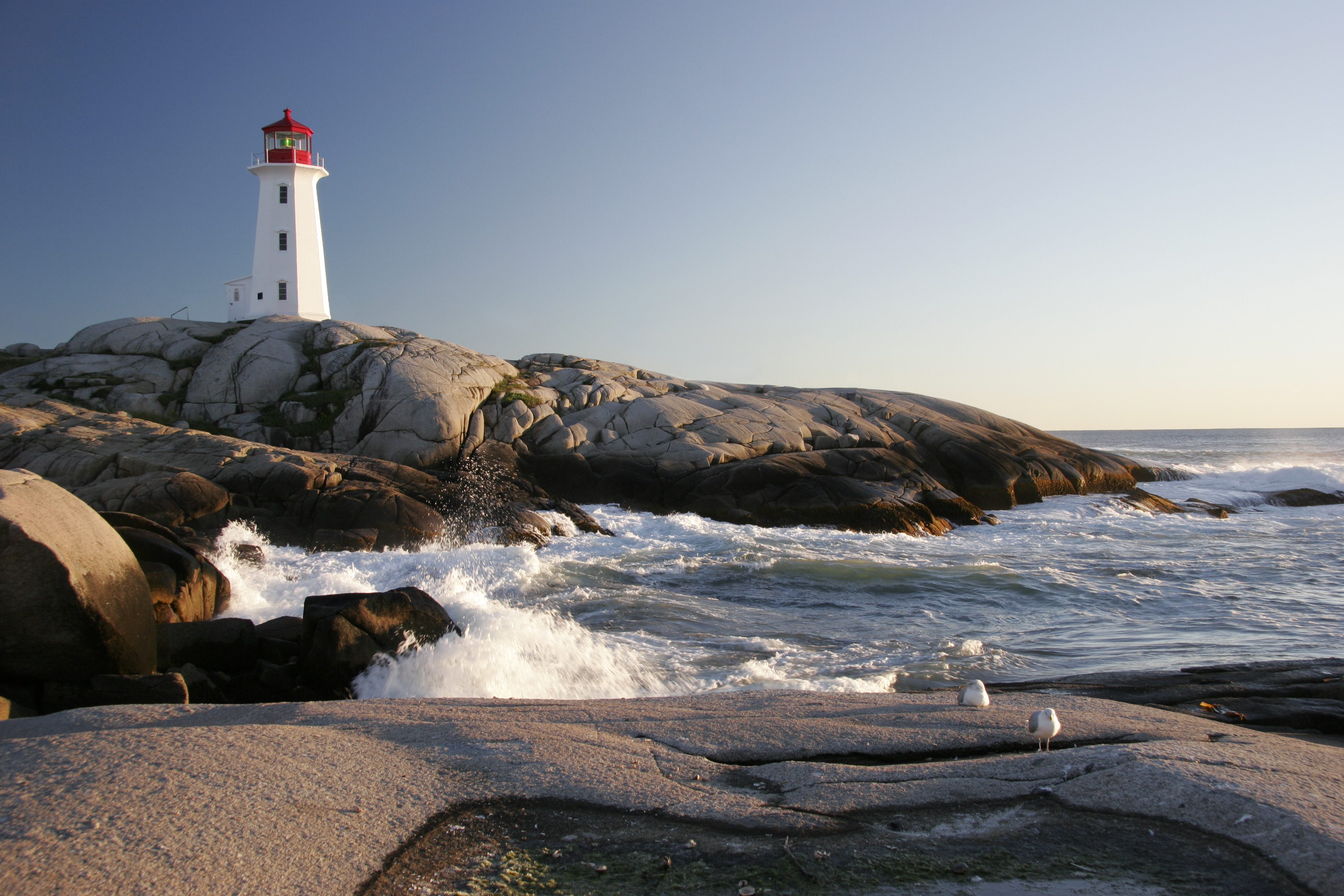 Lighthouse on top of a rocky cove with seagulls sitting and the waves splashing against the shoreline.