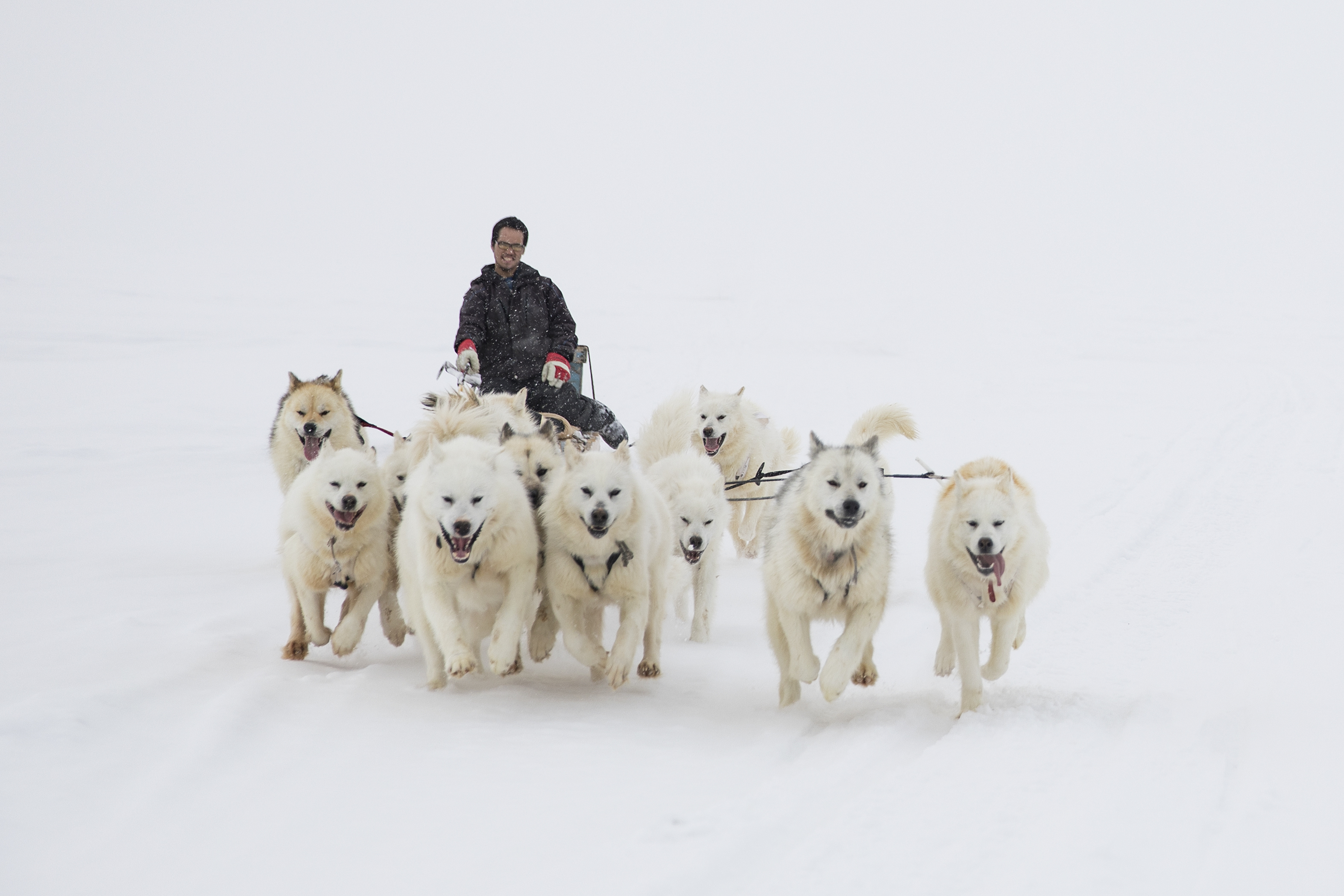 A person dog sledding in the snow
