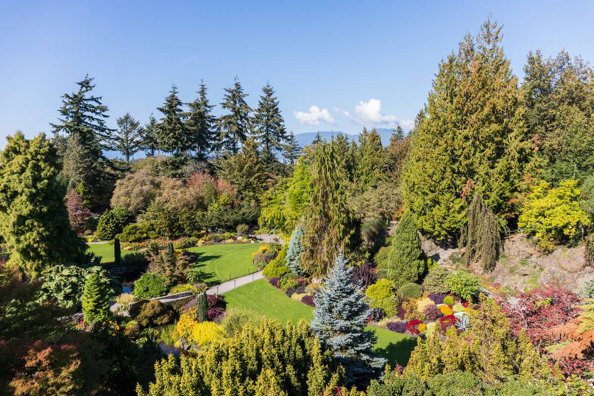 Pathway through landscaped gardens in the summer at Queen Elizabeth Park
