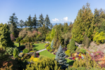 Aerial shot of trees and flowers in Queen Elizabeth Park in summer 