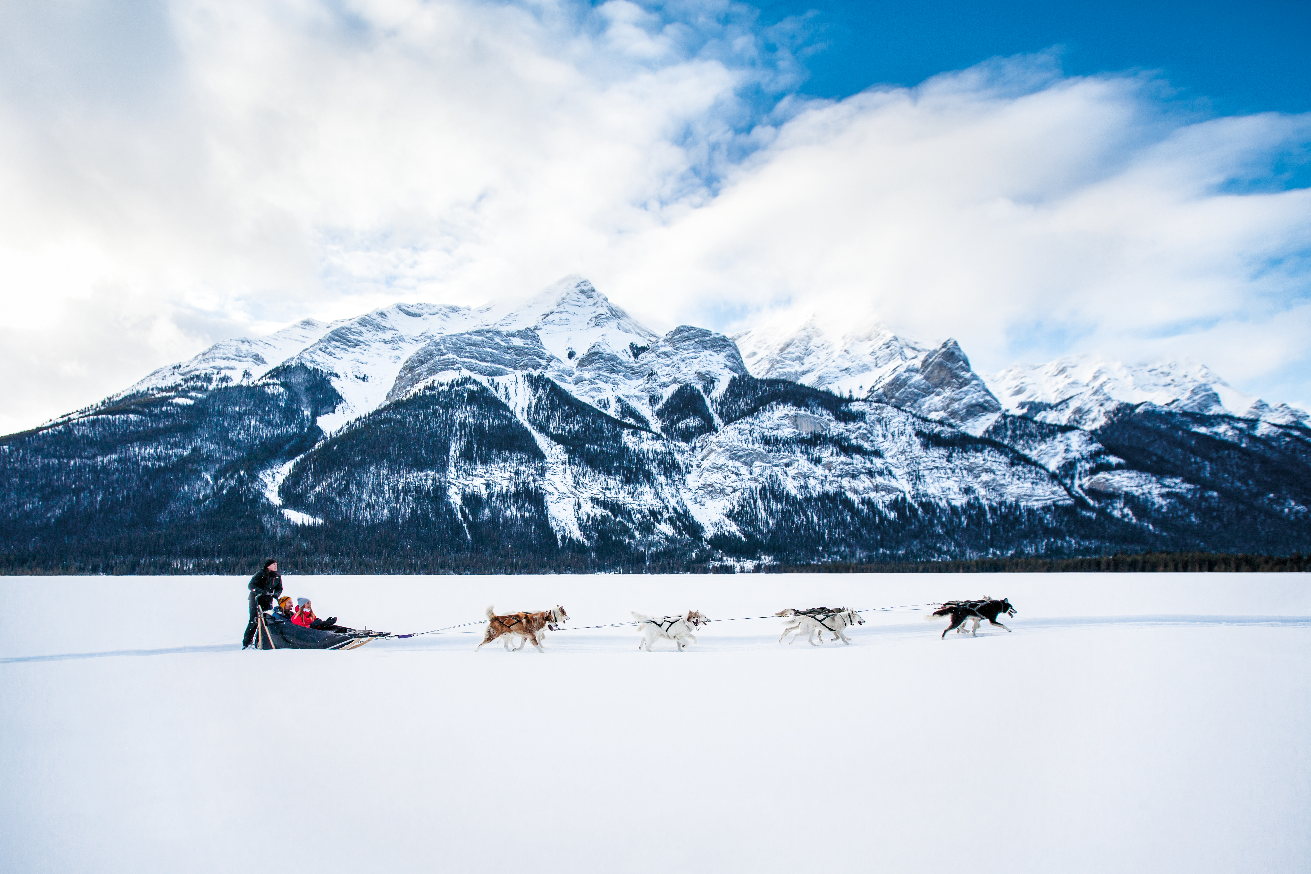 A couple in a dog sled in the Canadian Rockies