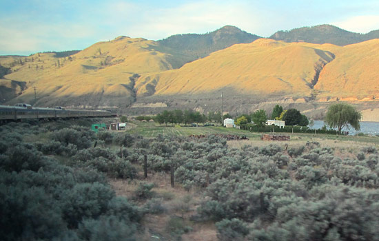 Ulla and Nova review of their null trip