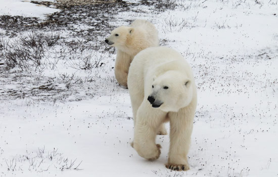 Danielle and Claudia review of their [object Object] trip
