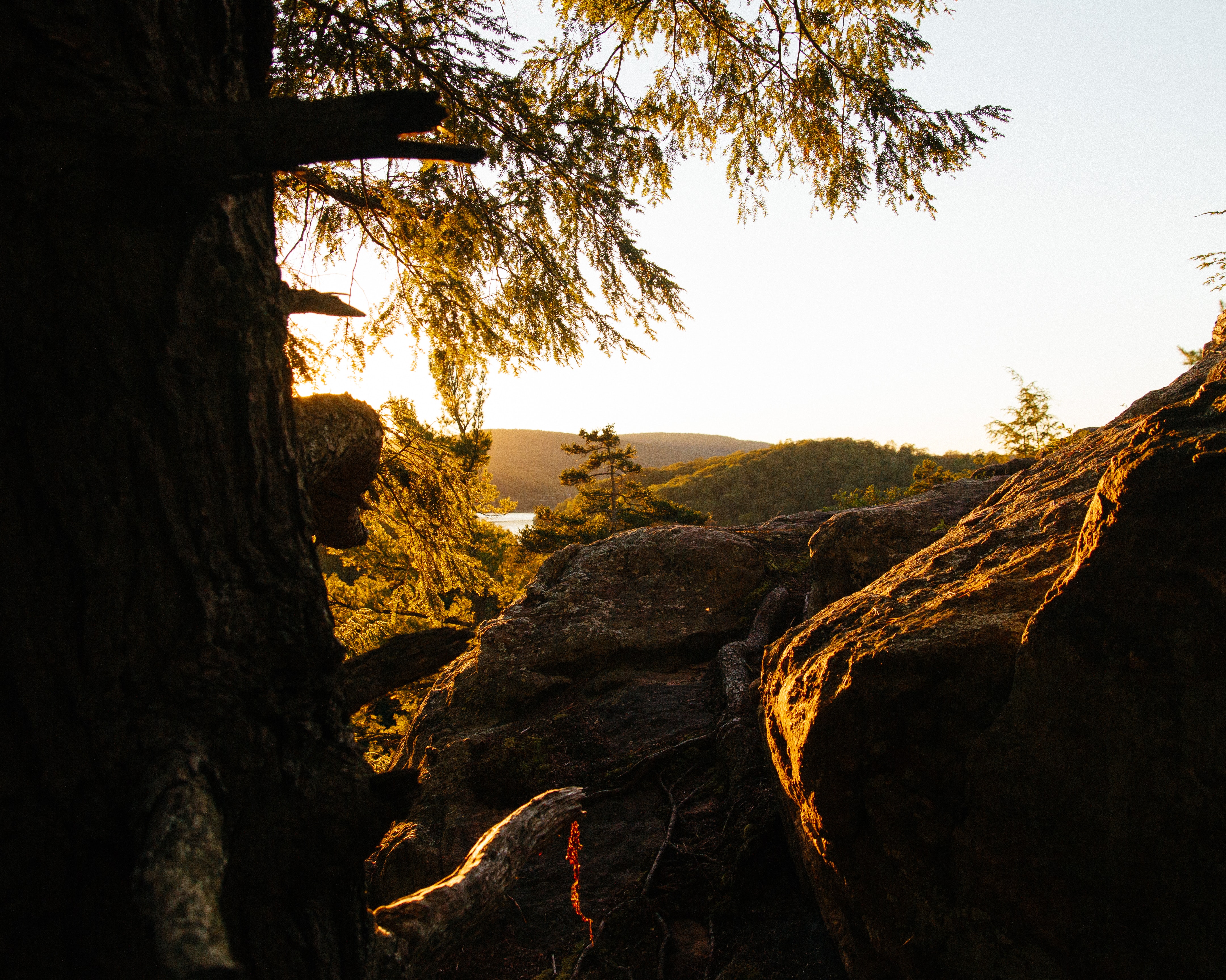 Lake Meech north of Ottawa and in forested Gatineau Hills appears behind rocks by tree trunk