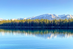 View lush forest and reflective lake with snowcapped mountains in the background on a sunny day