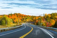 road through colorful trees in the Algonquin park area