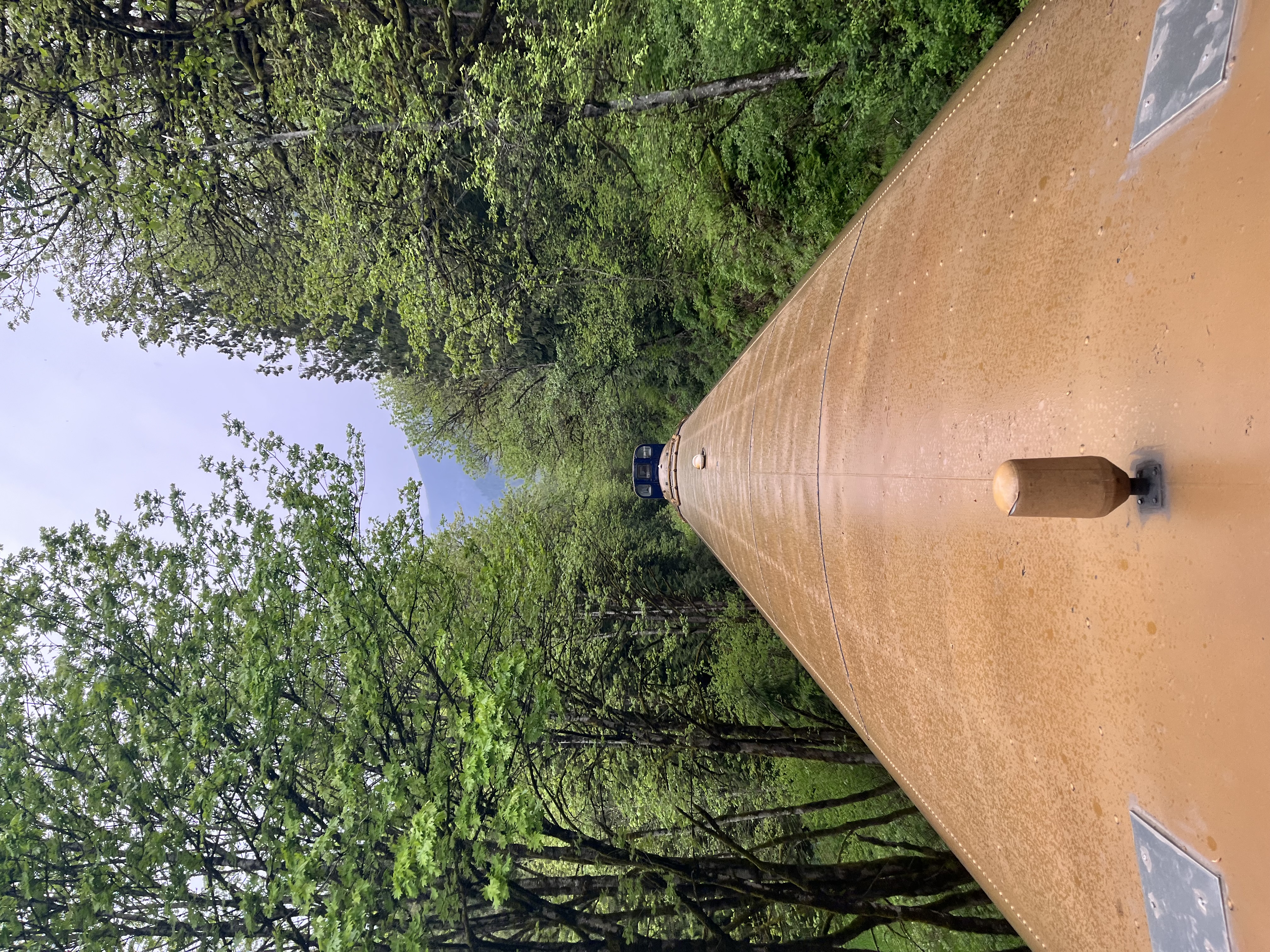 Top of Rocky Mountaineer train surrounded by green trees