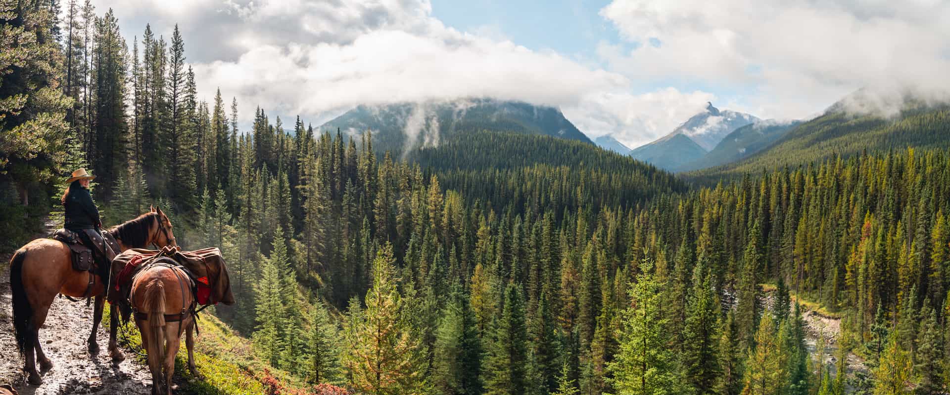Horseback rider with a view of mountains and trees in Banff