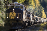 Front view of a Rocky Mountaineer travelling through the forest 