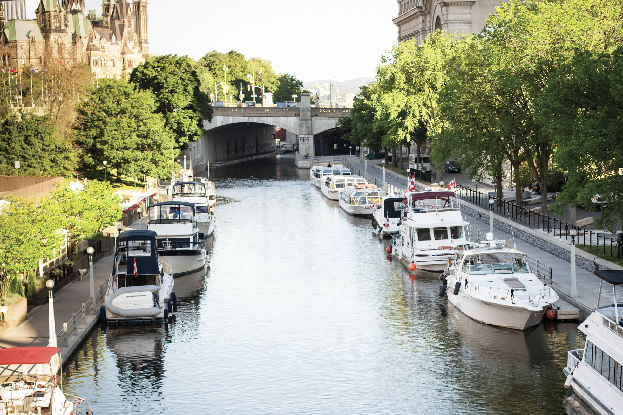 Boats docked on the side of the Rideau Canal 