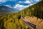 Rocky Mountaineer train passes through forest in the fall with Canadian Rockies in the background