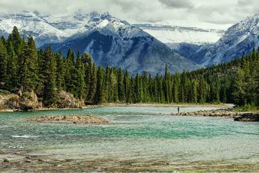 A lone fisherman fishes alongside the Bow River in Banff National Park, Alberta