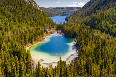 Shallow clear azure lake surrounded by lush forest in British Columbia