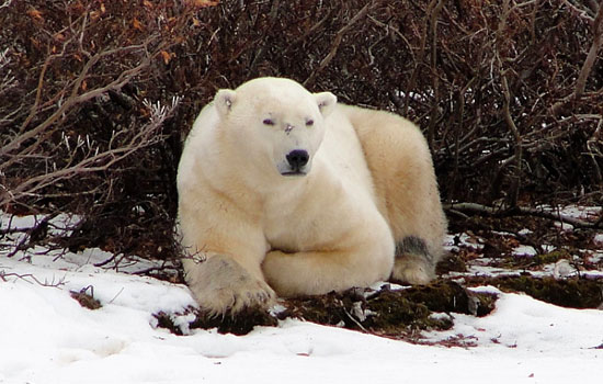 Pam and Steve review of their [object Object] trip