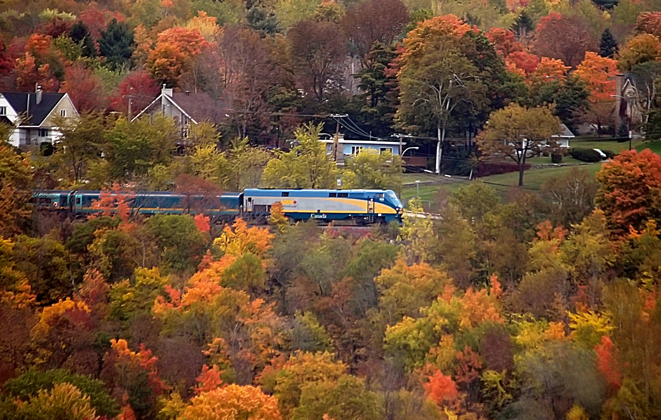 VIA Rail's Corridor train in the Fall season 