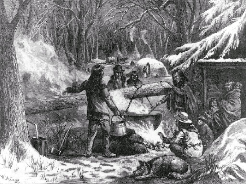 Many of Canada's Indigenous nations produced maple syrup for feasting, ceremony and trade