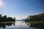 A reflection of the CN Tower from the Toronto Islands