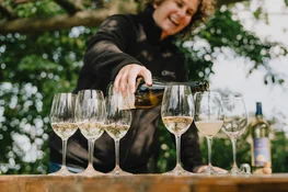 Domaine de Grand Pre tasting