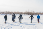 Five people snowshoe in fresh snow in natural playground, Fortwhyte, on a clear day during winter near downtown Winnipeg, Manitoba 