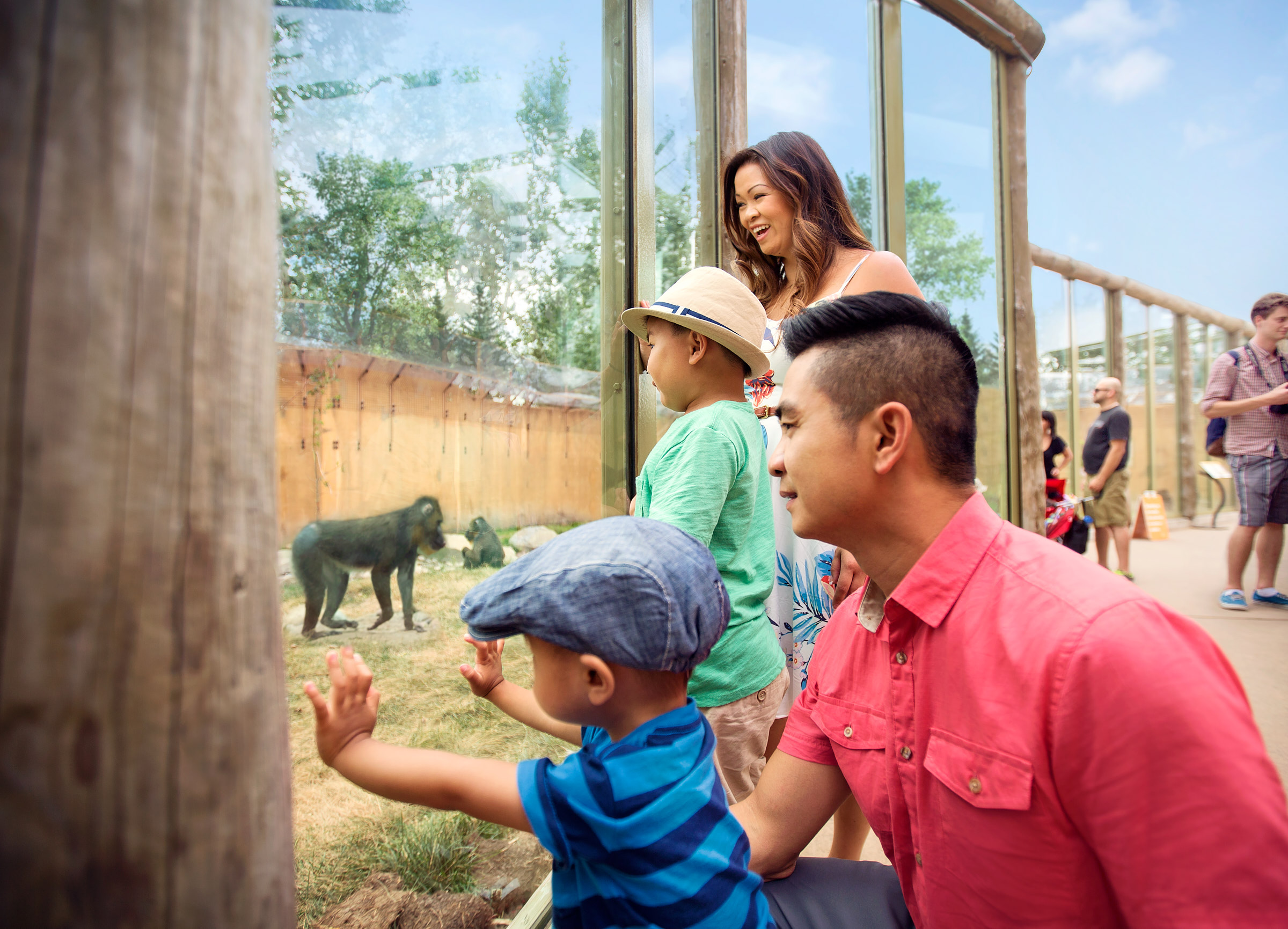 A family looks at an outdoor mandrill enclosure at the Calgary Zoo