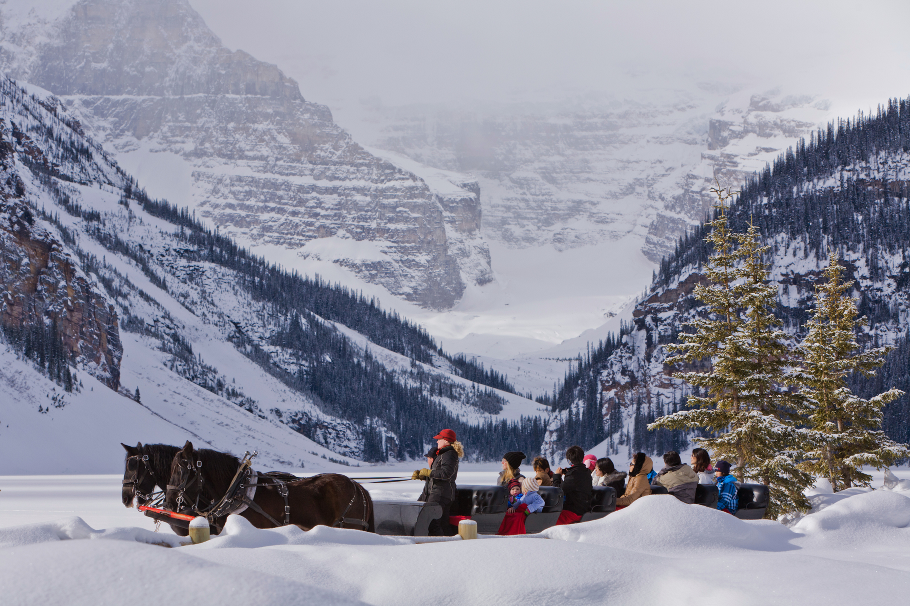A horse-drawn sleigh ride in Lake Louise, Alberta