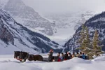 A horse-drawn sleigh ride in Lake Louise, Alberta