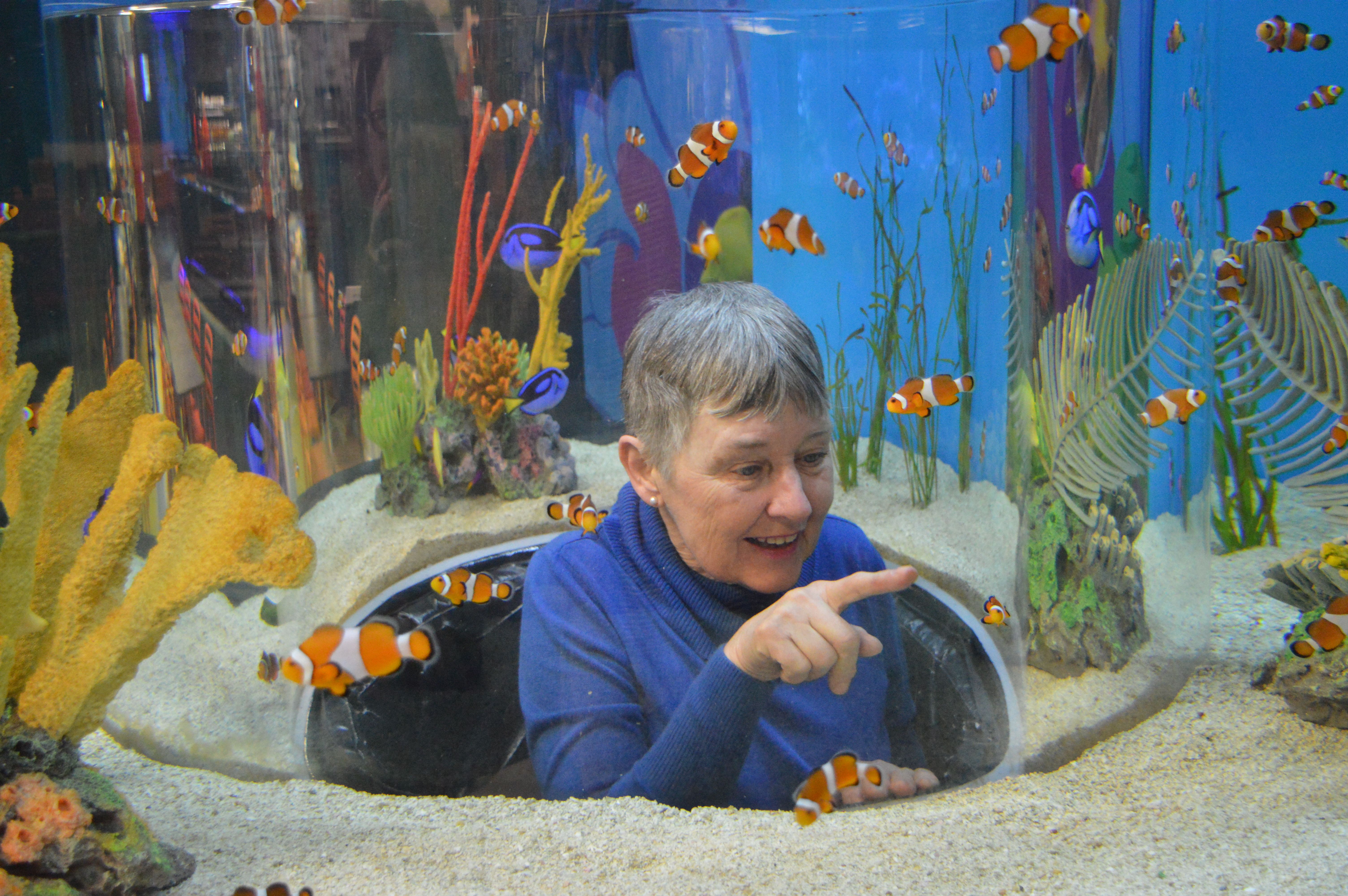 A senior woman sits in an interactive exhibit and points at clownfish in an aquarium