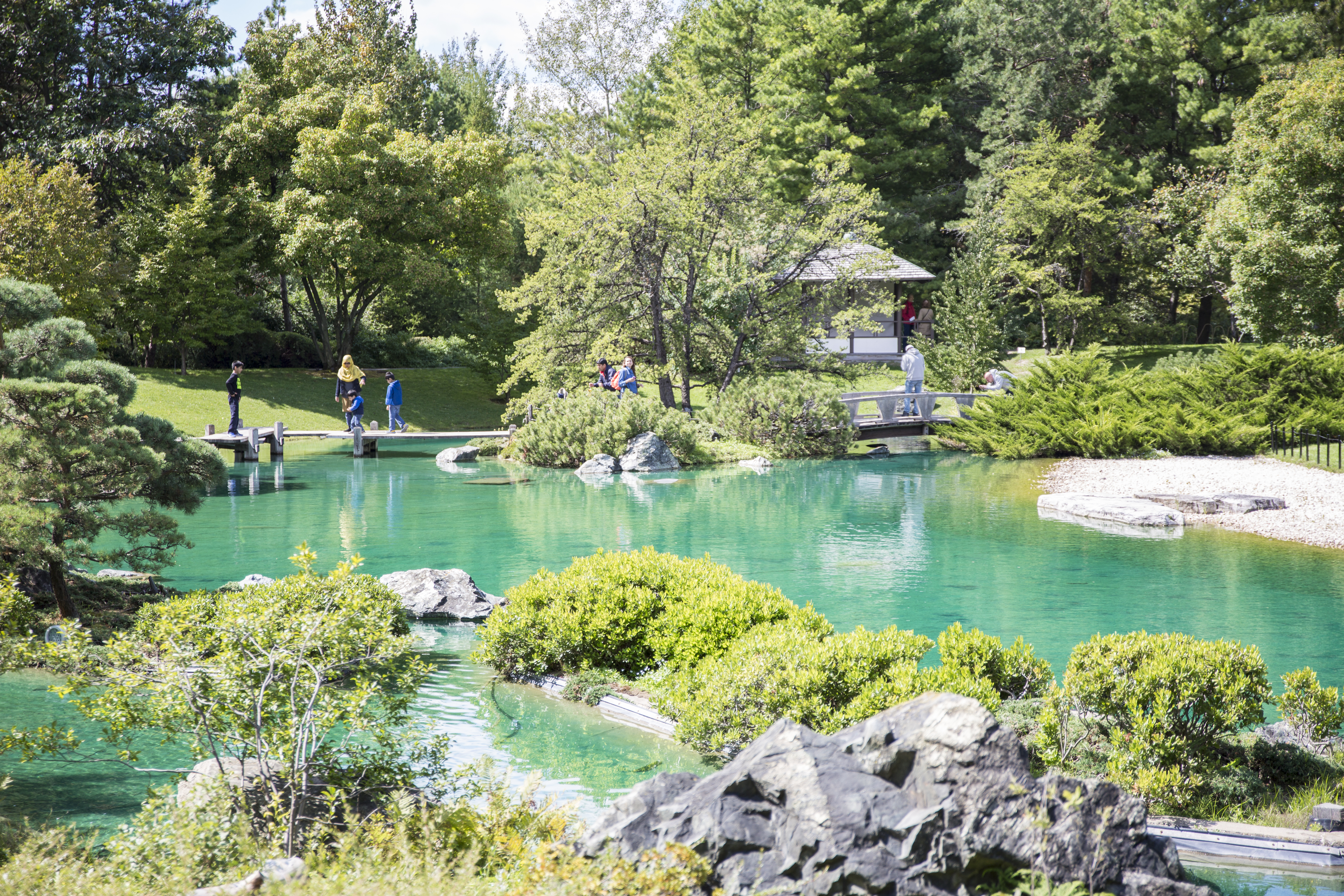 Shrubs, trees and a turquoise lake in a Japanese garden in the Montreal Botanical Gardens