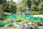 Shrubs, trees and a turquoise lake in a Japanese garden in the Montreal Botanical Gardens