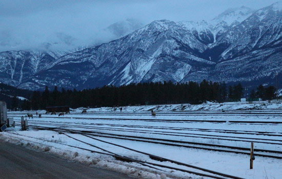 Charlotte review of their [object Object] trip