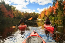 Kayakers paddling through the river in Mount Stewart