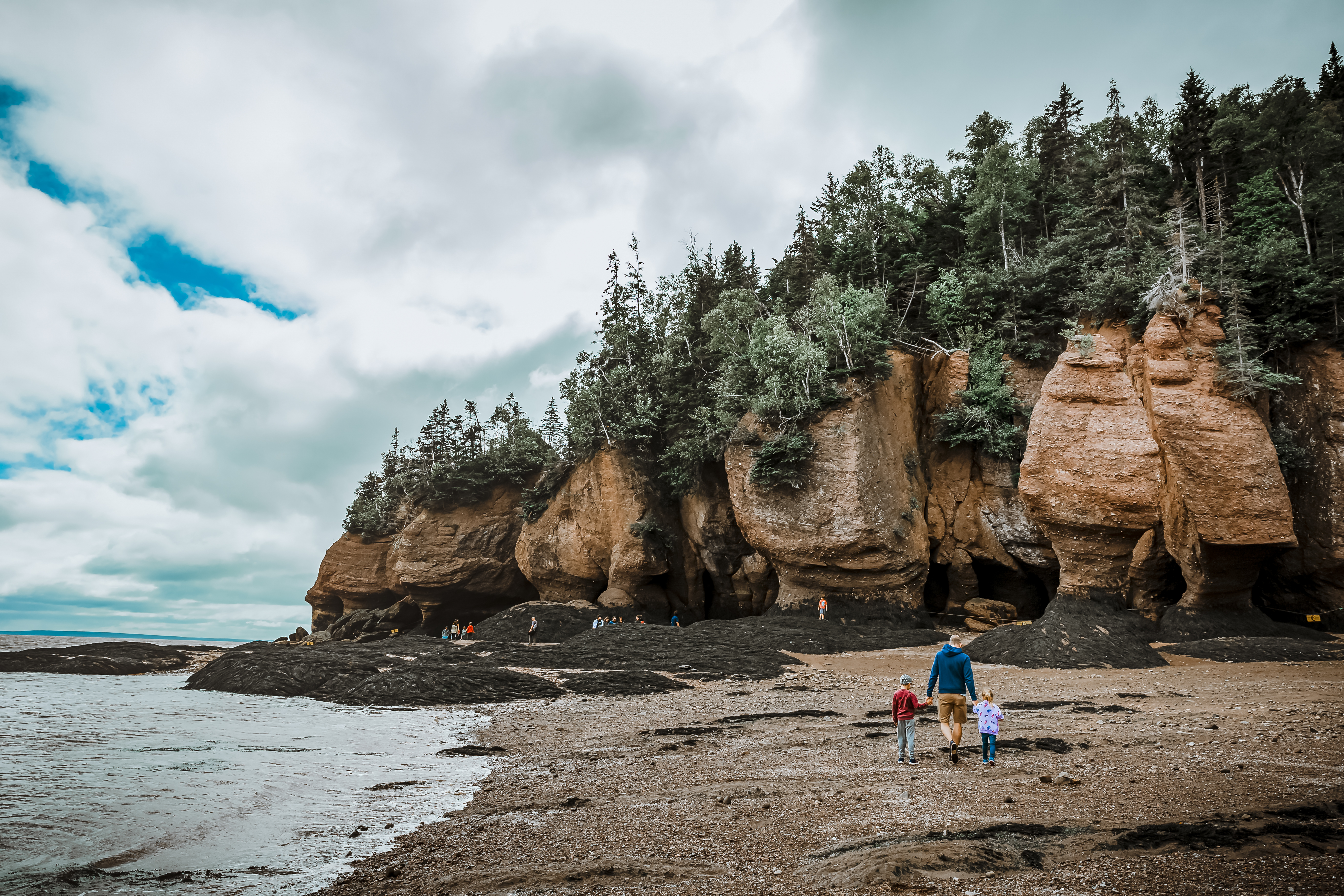 Father and children walking along the beach at Hopewell Rocks in New Brunswick