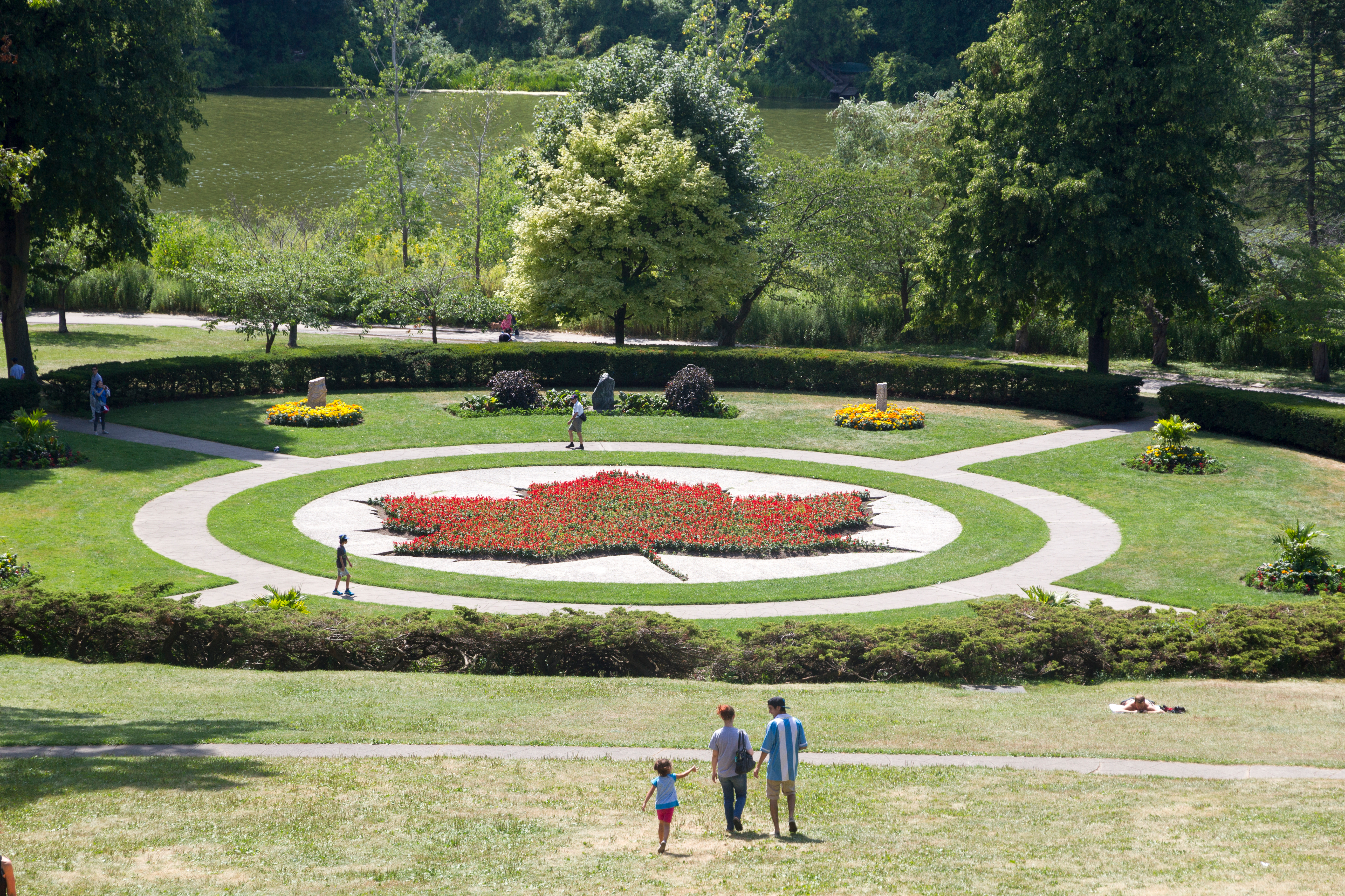 View of park with hedges, trees and a maple leaf flower bed