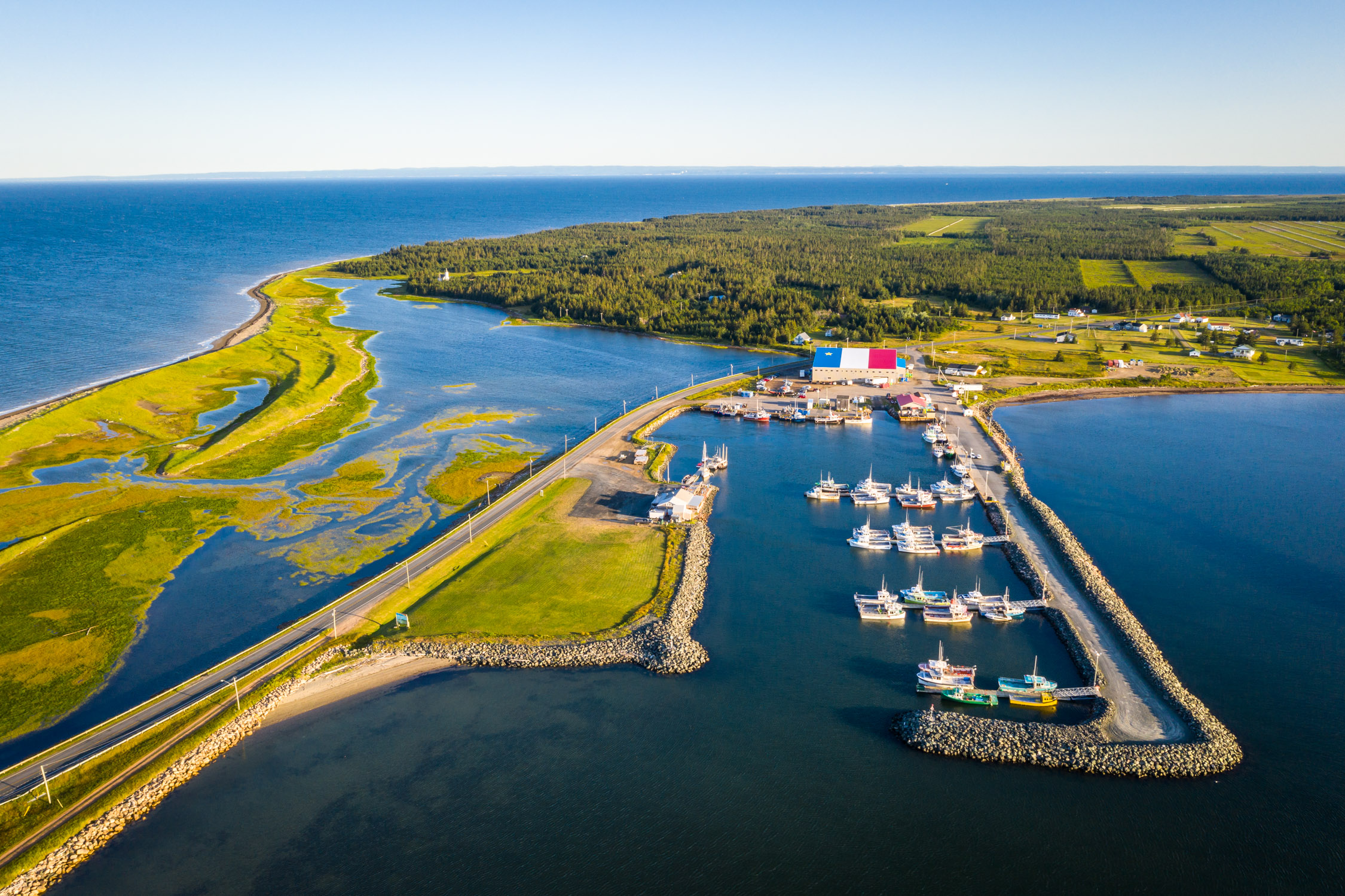 Bright green peat bogs near unspoiled, remote and coastal Miscou Island near outlet and inlet of the Gulf of St. Lawrence