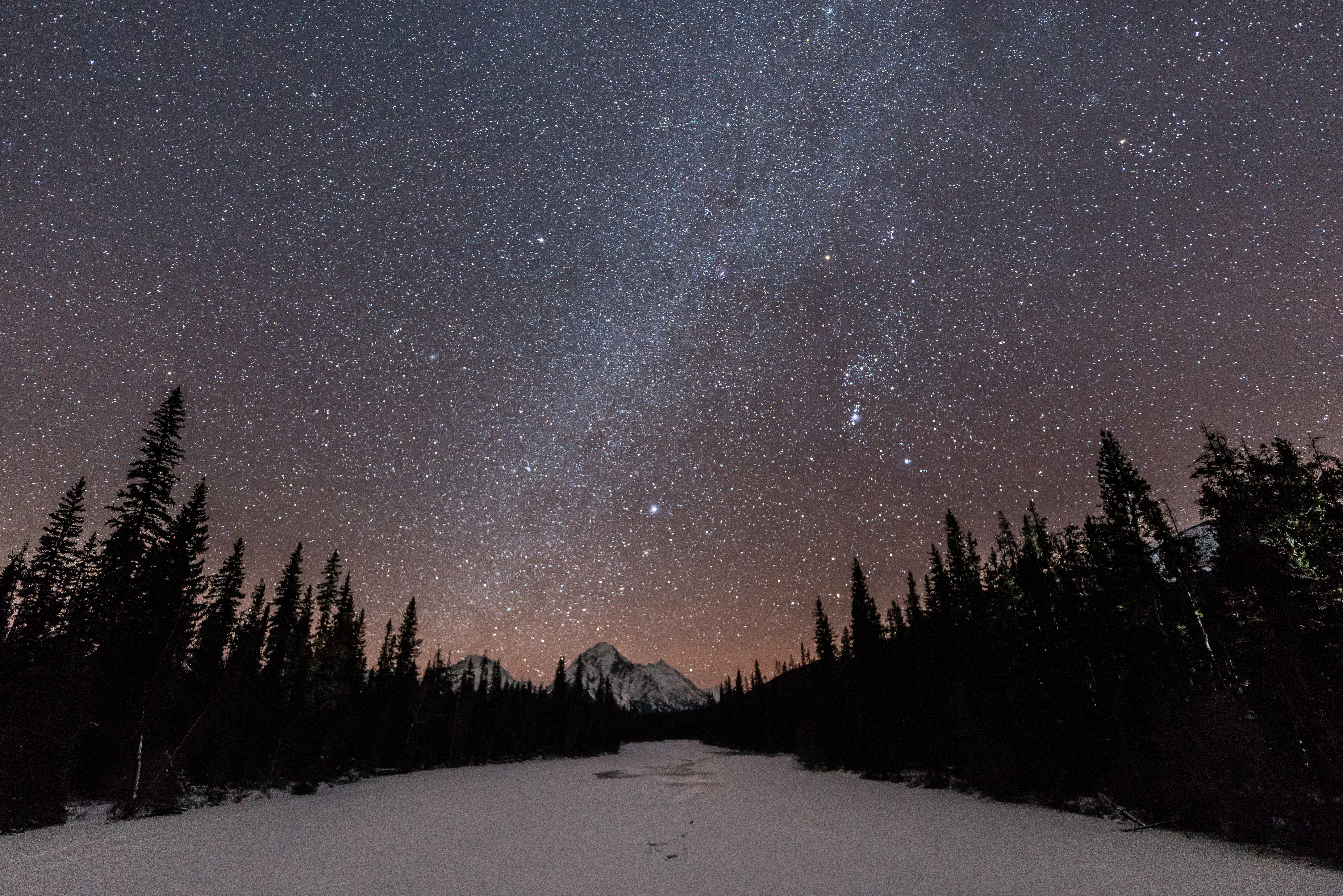 A starry night sky in the winter in Jasper National Park