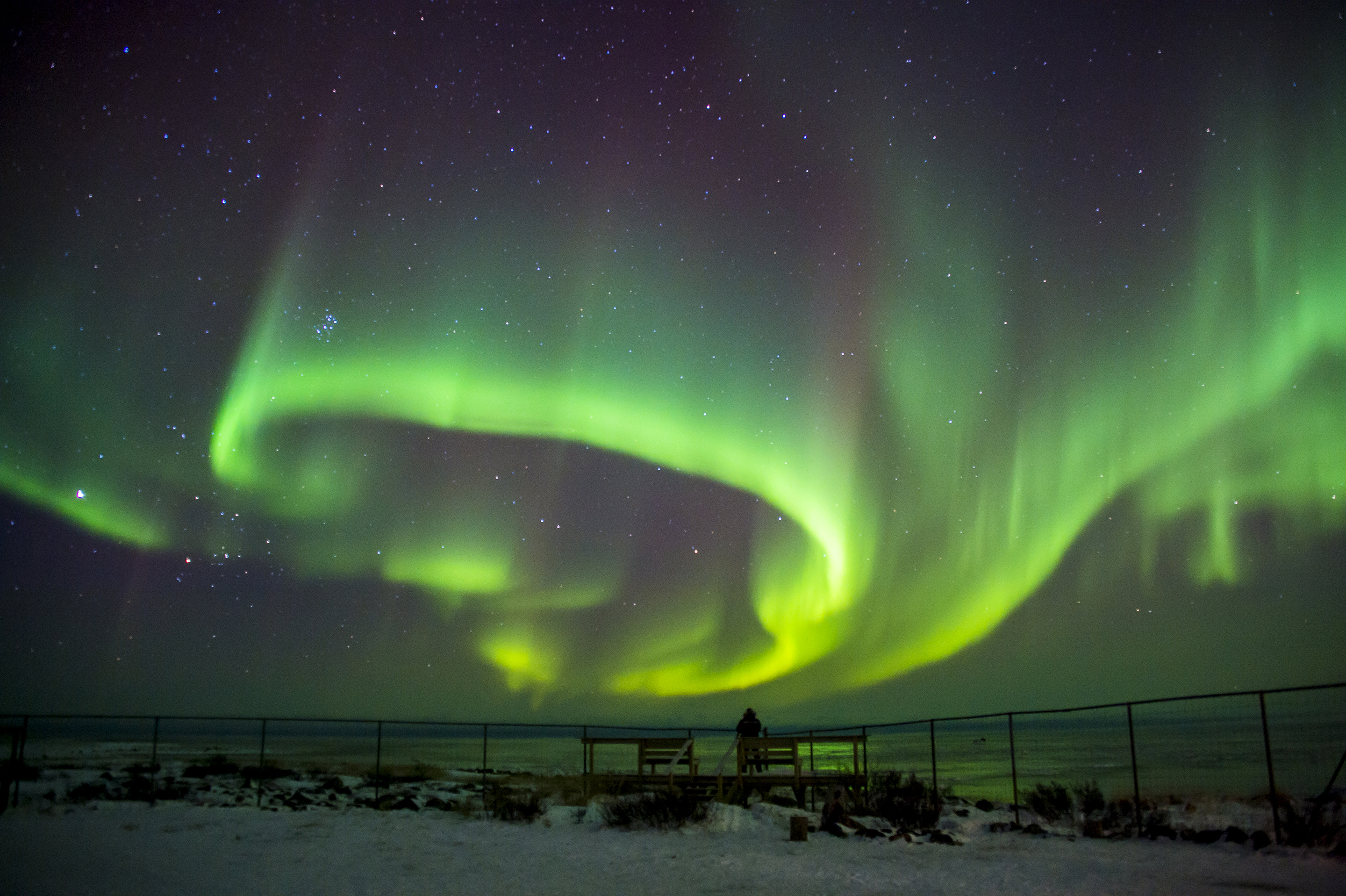 Powerful colours of the northern lights take over section of starry sky as person watches from the ground in Churchill, Manitoba