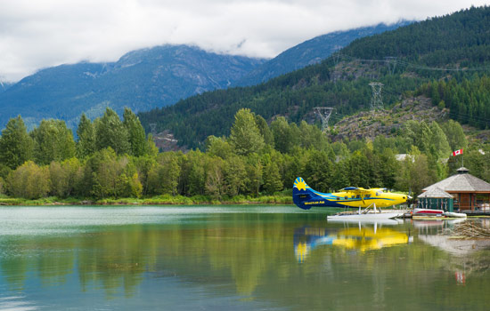 Wayne and Lynda review of their null trip