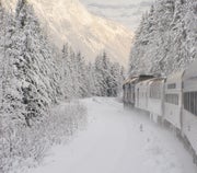 Side view of a train traveling through the Rocky Mountains surrounded by snowy evergreen trees.