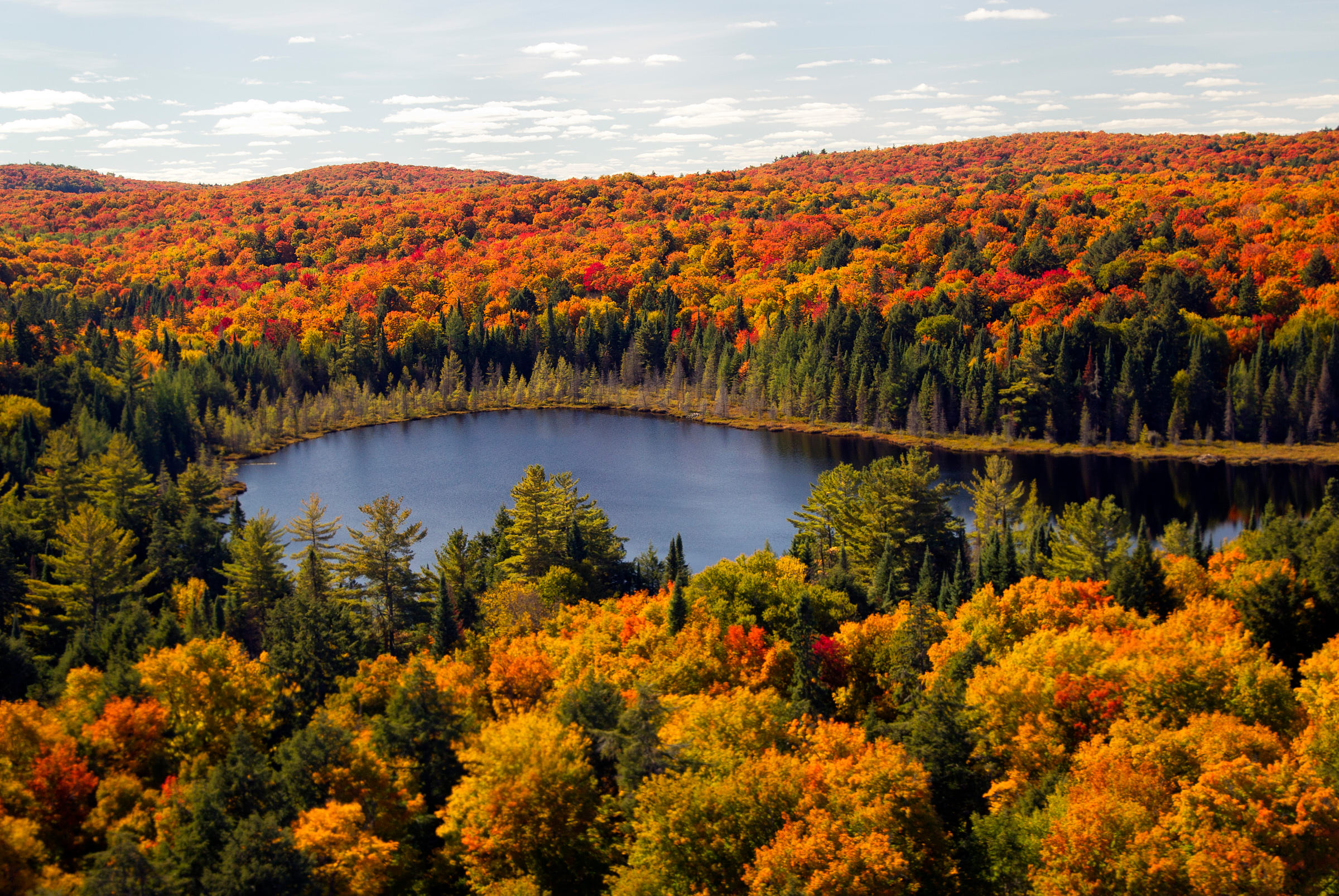 Fall foliage surrounds lake in Algonquin Park