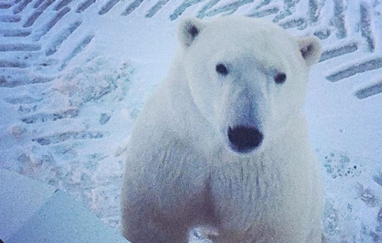 Anne and Marvin review of their [object Object] trip