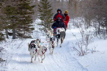 Three people on a dogsledding ride through the snowy forest in Churchill