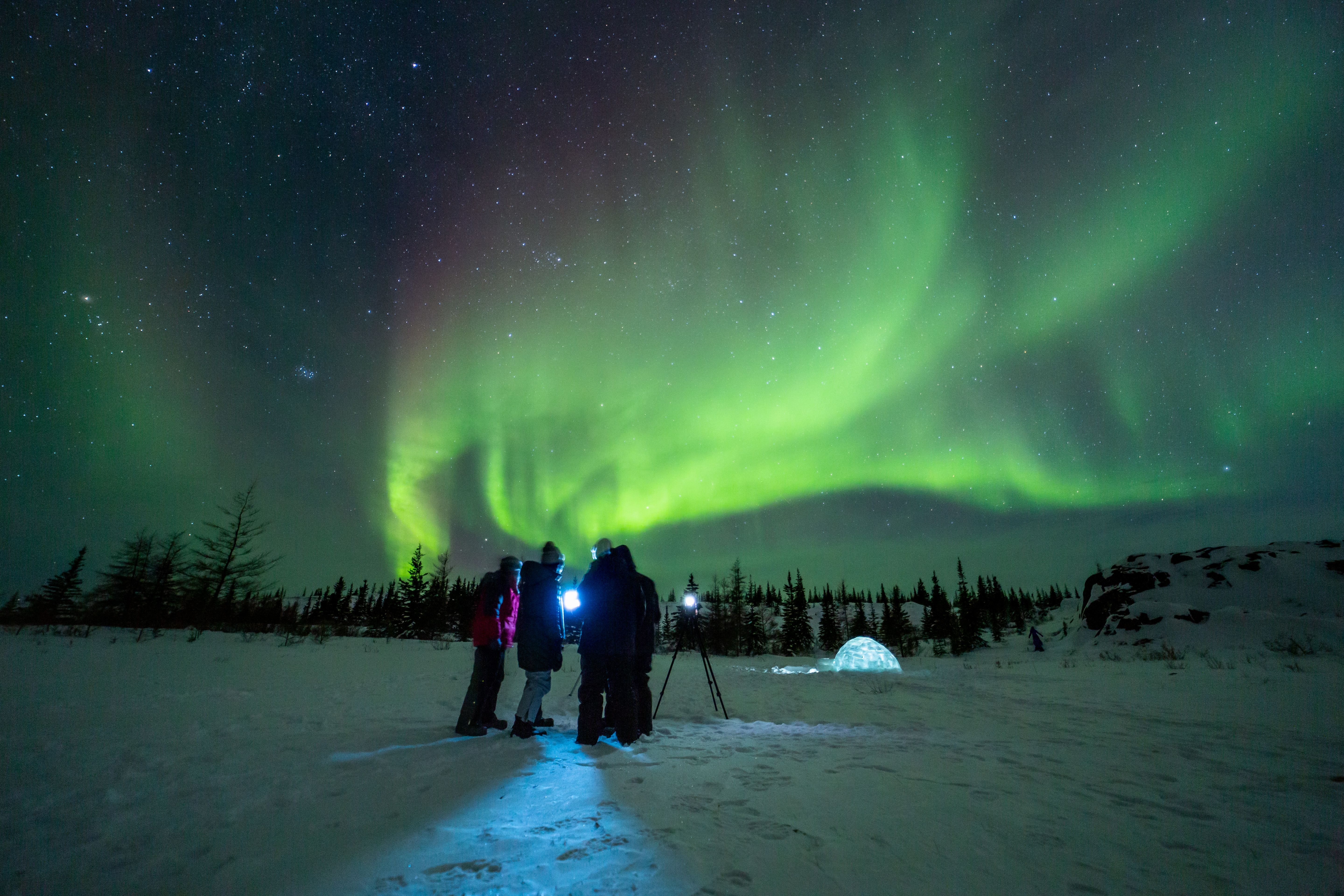 Small group standing next to cameras on tripods as the Northern Lights shine above Churchill