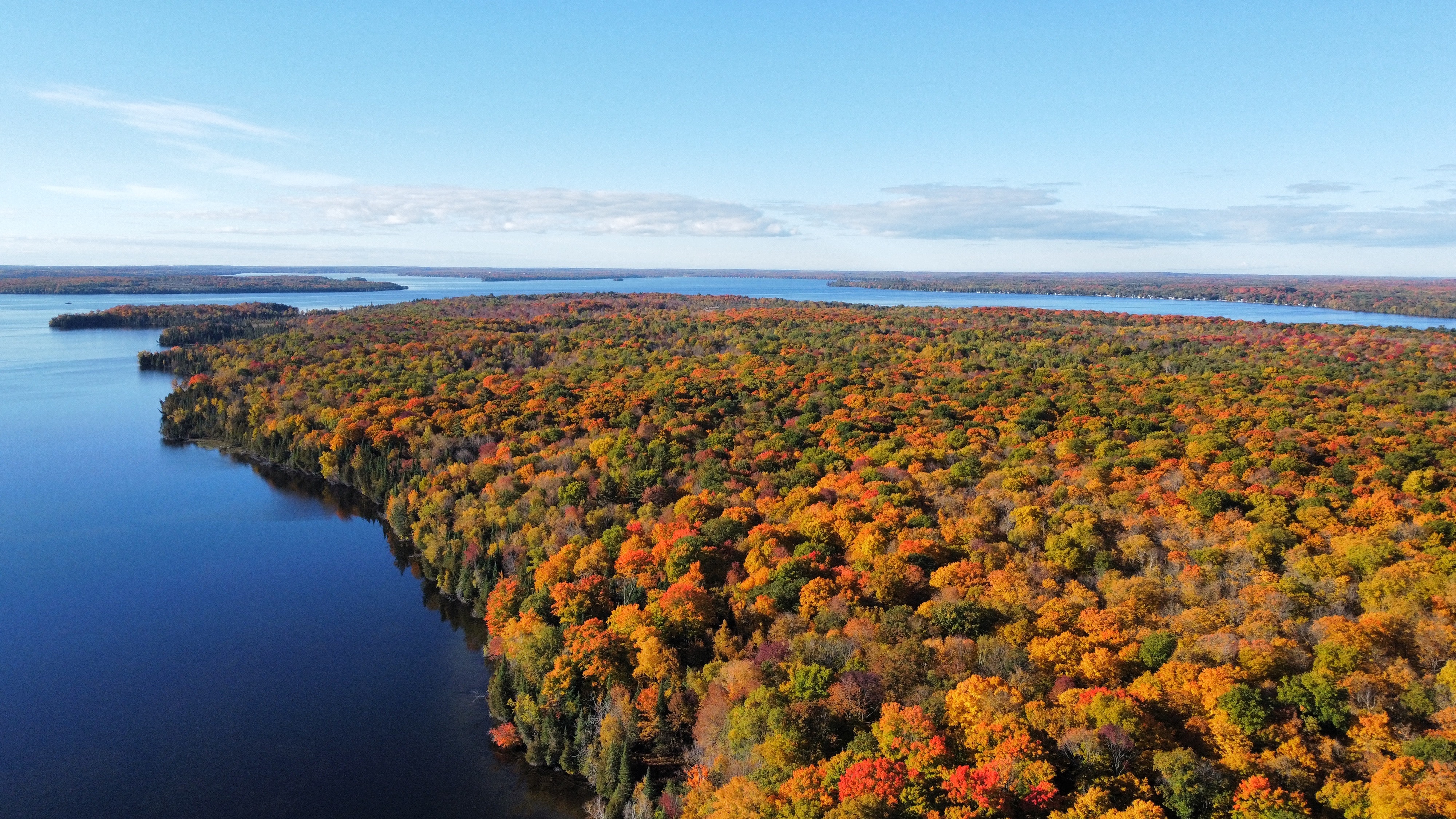 Aerial view of fall colours next to Balsam Lake in Kawartha Lakes area