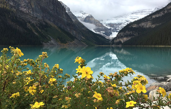 Jane and Mark review of their null trip