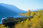 A VIA Rail train travels past a lake and yellow trees in the Canadian Rockies